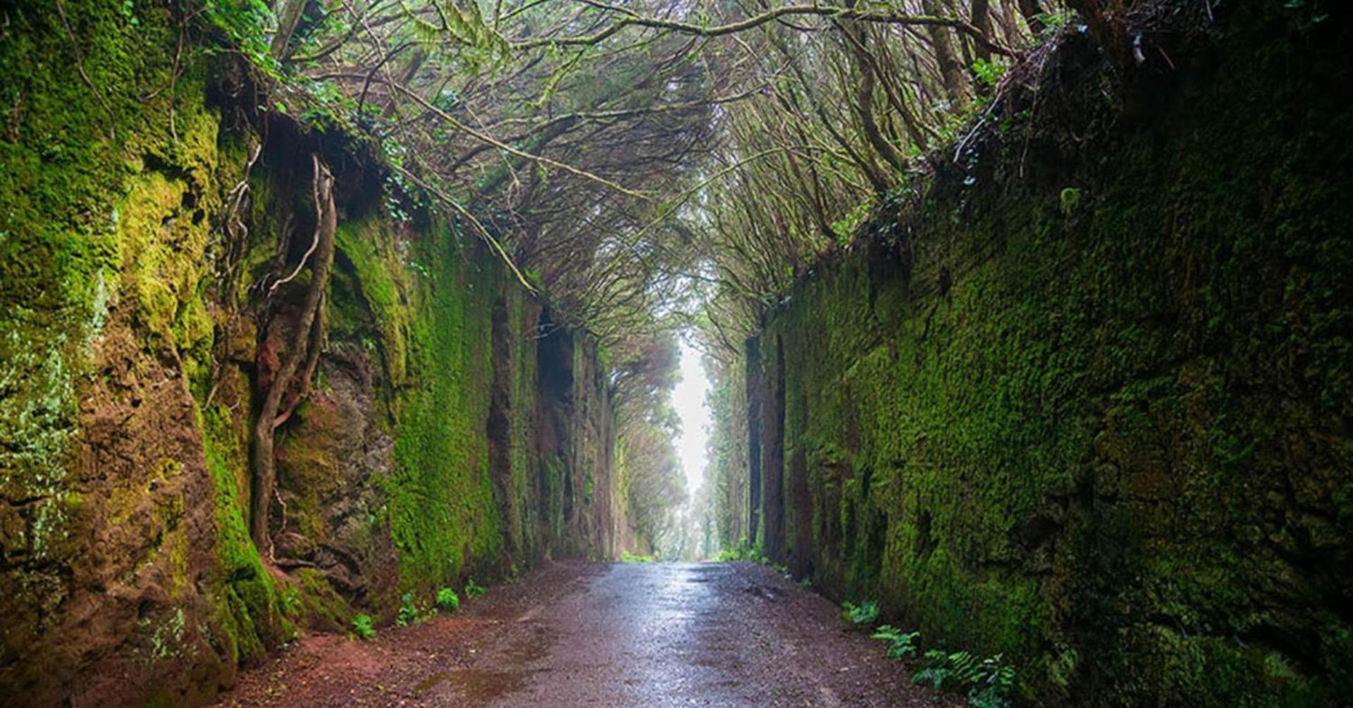 Lunamar Bajamar  Esterno foto